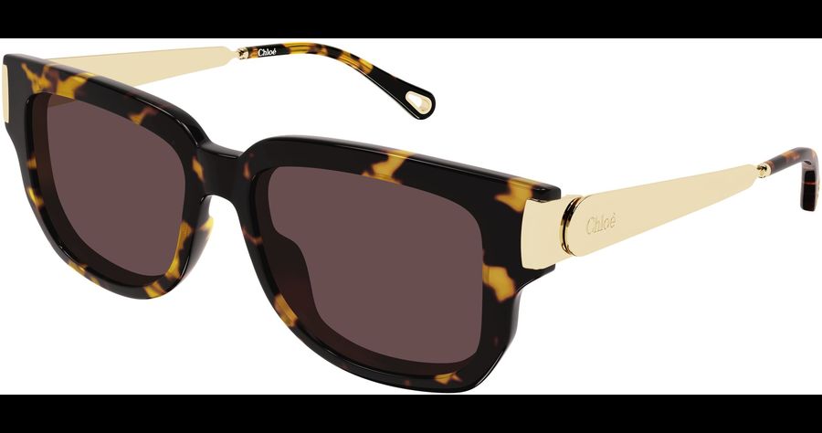  Chloé CH0351S 54 003 Ansicht 1