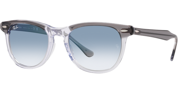 Ray-Ban Eagle Eye RB2398 13553F - Ansicht 2