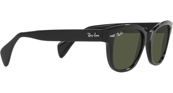 Ray-Ban RB0880S 901/31 - Ansicht 11