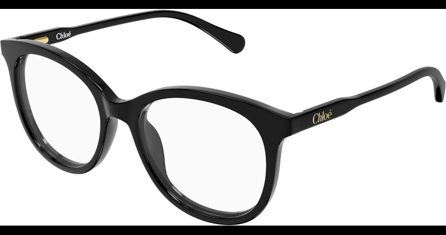  Chloé CC0028O 48 001 Ansicht 1