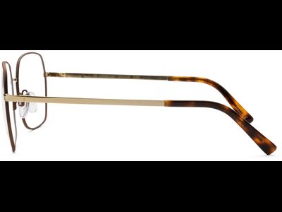 FRAIMS Brille Damen FRAIMS 03-15000-01 Dionne, Havanna/Gold Ansicht 3