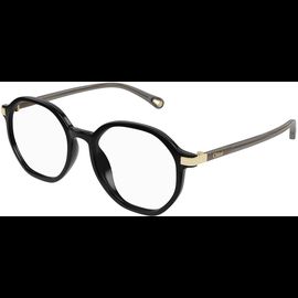  Chloé CH0249OA 53 001