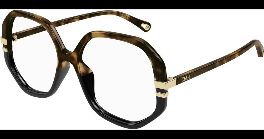  Chloé CH0107O 54 011 Ansicht 1
