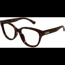  Chloé CH0243O 51 002