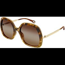  Chloé CH0327S 56 002