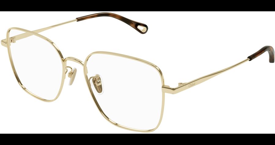  Chloé CH0214OA 54 001 Ansicht 1