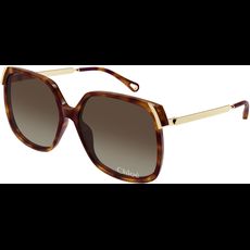  Chloé CH0286S 60 002