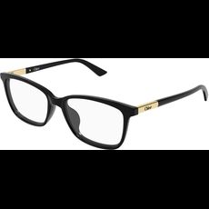  Chloé CH0371OA 55 001