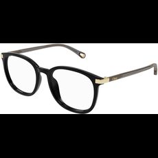  Chloé CH0247OA 54 001
