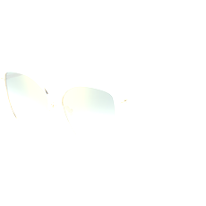 Hugo Boss Sonnenbrille Damen Hugo Boss BOSS 1708/S 58 PEF