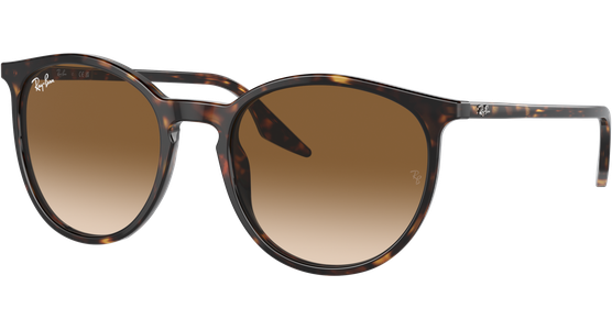 Ray-Ban 0RB2204 902/51 - Ansicht 2