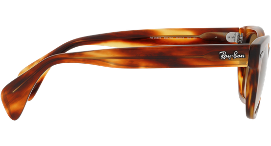 Ray-Ban RB0880S 954/51 - Ansicht 10