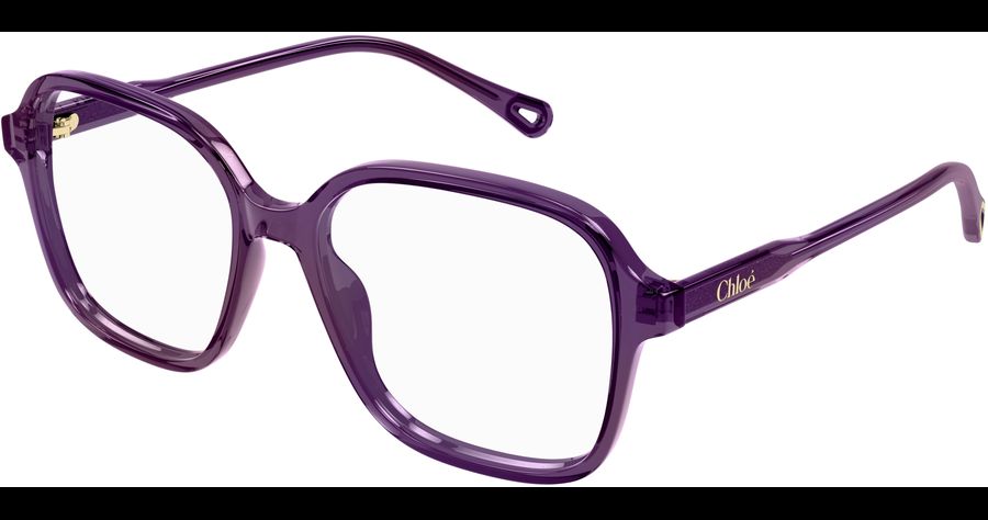  Chloé CH0313O 54 004 Ansicht 1