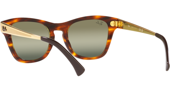 Ray-Ban RB0707SM 954/G4 - Ansicht 6