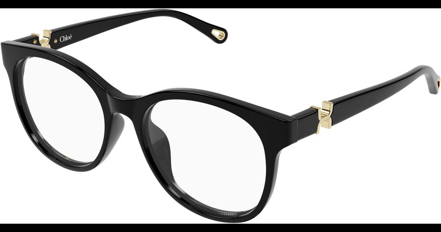  Chloé CH0375O 54 001 Ansicht 1