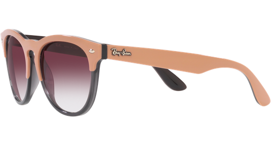 Ray-Ban Iris RB4471 66338H - Ansicht 3